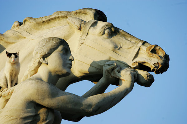 gato en estatua: Detail of 1812 constitution monument in Cádiz, Spain