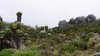 Horombo hut