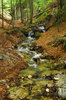 Autumn in Small-Fatra