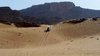 Surfer in a desert