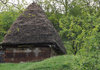 rustic life 1