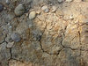 ground 1