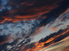 alien sky 22