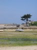Boats in Brittany 2