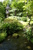 Japanese garden