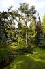 Japanese garden