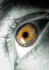 Eye max x