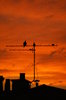 Sunset on Paris