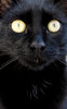 extreme closeup 2