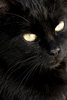 extreme closeup 3