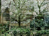 city jungle
