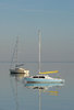 calm 1