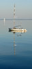 calm 2