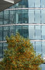 glass 2