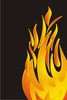 Flame 3