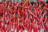 Red pepper