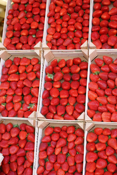 Strawberries in Paris: Strawberries in Paris