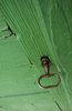 Green entrance 1