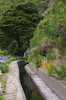 Canal Levadas in Madeira 5