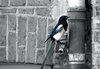 bird in the city