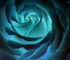 blue tunnel