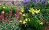 summer garden