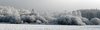 winter impression