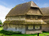 Old lady
