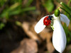 Spring time