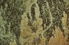 Background element