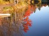 reflections