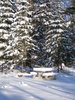 Winter in Canada