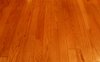 wood texture 1