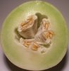 Honey Dew