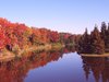 Beauty of fall
