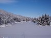 Beauty of snow