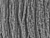Background element