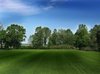 Green field