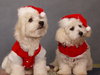 Santa's little helpers