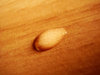 Water and wood 2