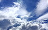 Blue and Cloudy Skies