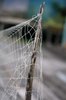 Fishing Nets