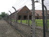 auschwitz 4