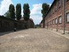 auschwitz 9