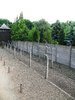 auschwitz 15