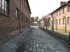 auschwitz 20
