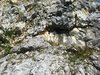 rock 3