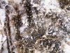 salt mine 2