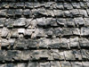 Shake Shingles