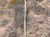 Rope on beach 2